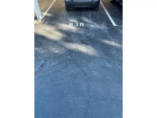 Photo #3: 9241629 Listing 