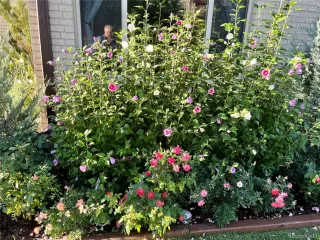 Photo #5: 9427082 Listing 