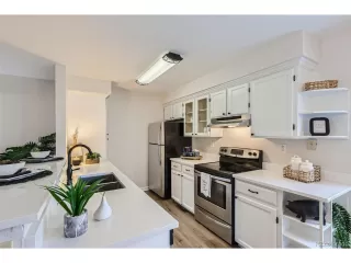 Photo #5: 9444415 Listing 