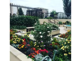 Photo #4: 9500610 Listing 