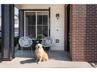 Photo #2: 9525814 Listing