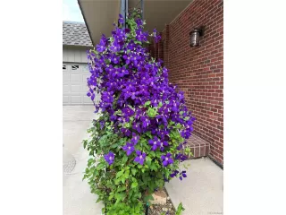 Photo #4: 9572497 Listing 