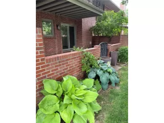 Photo #5: 9572497 Listing 