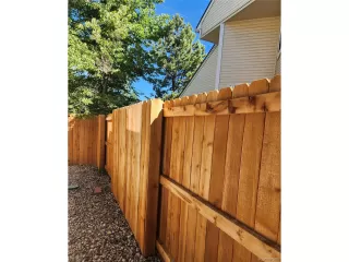 Photo #4: 9727147 Listing 