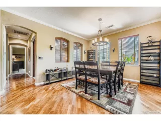 Photo #6: 9770752 Listing