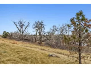 Photo #4: 9842226 Listing 