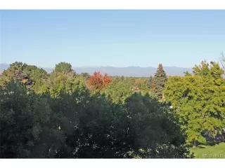Photo #3: 9877464 Listing 