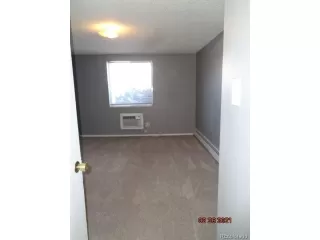 Photo #6: 9969503 Listing 